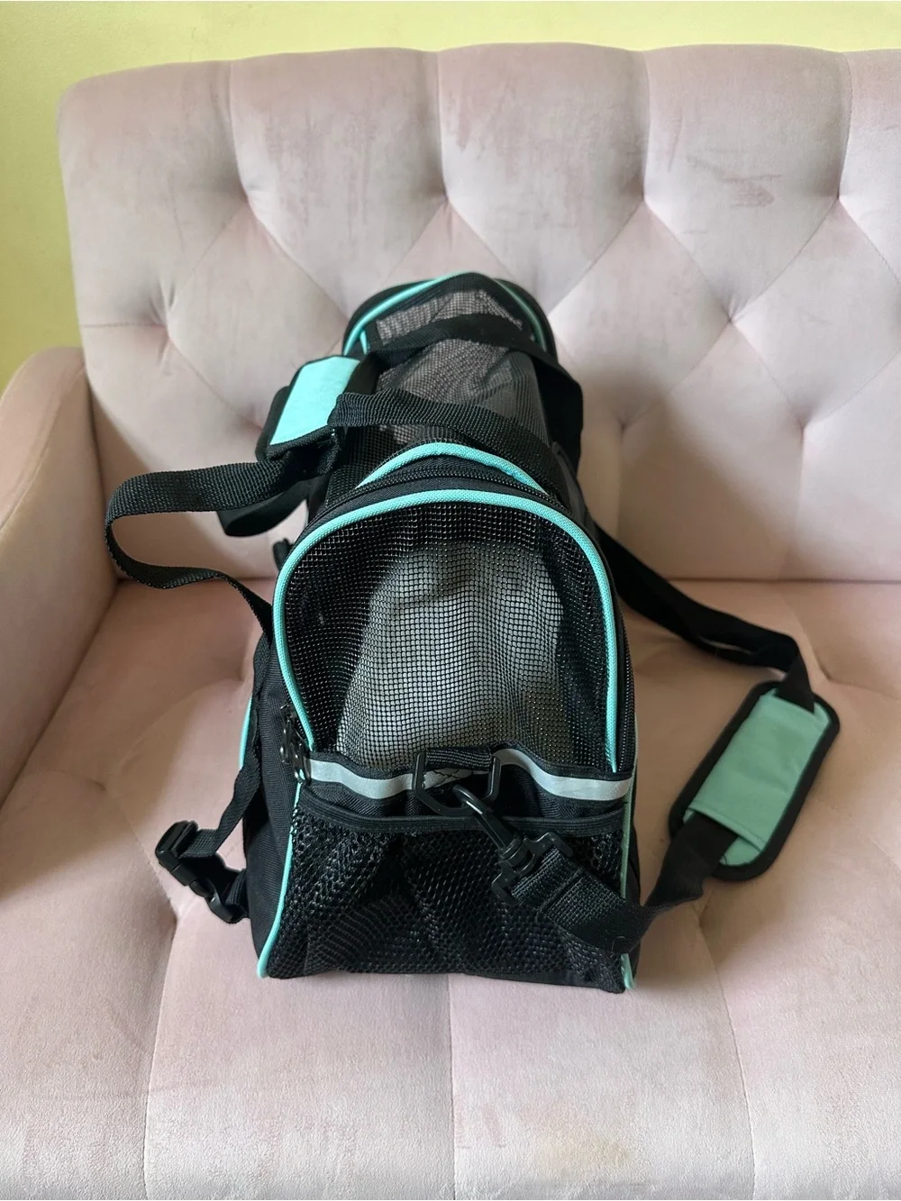 Cat carrier